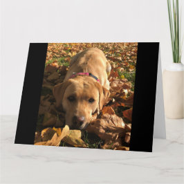 赤いキツネラブラドールは紅葉の挨拶に座った カード