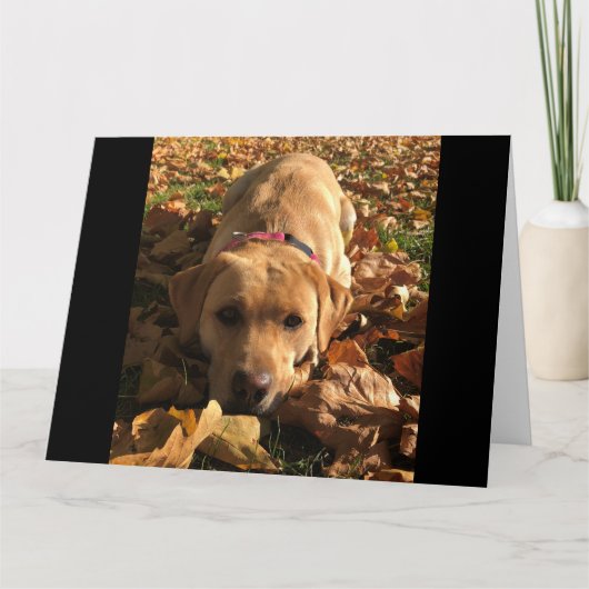 赤いキツネラブラドールは紅葉の挨拶に座った カード (正面)