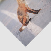 赤いキツネ道路の側に座っている 薄葉紙 (詳細)