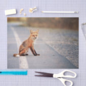 赤いキツネ道路の側に座っている 薄葉紙 (クラフト)