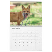 赤いキツネ2026 カレンダー (3月 2027)