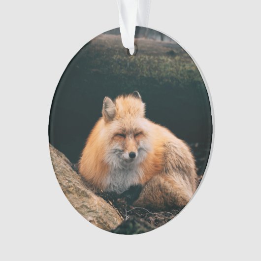 赤いキツネ オーナメント (正面)