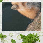 赤いキツネ キッチンタオル (折り畳み)