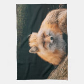 赤いキツネ キッチンタオル (縦)