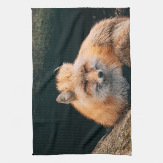 赤いキツネ キッチンタオル (縦)