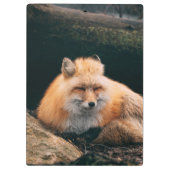 赤いキツネ クリップボード (裏面)