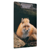 赤いキツネ クリップボード (右)