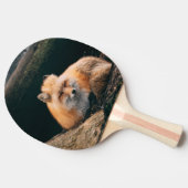 赤いキツネ 卓球ラケット (横)