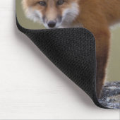 赤いキツネ、Vulpes vulpes、セントラルノース2 マウスパッド (コーナー)