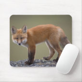 赤いキツネ、Vulpes vulpes、セントラルノース2 マウスパッド (マウス)
