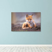 赤いキツネ, Vulpes vulpes, 子狐が体を掻く キャンバスプリント (インサイチュ (ウッドフロア))