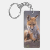 赤いキツネ, Vulpes vulpes, 子狐が体を掻く キーホルダー (正面左)