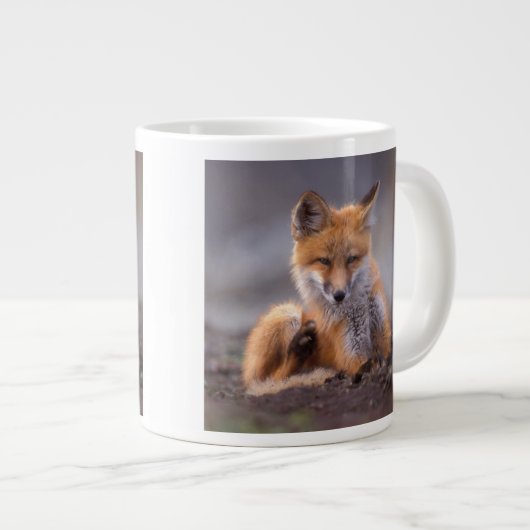 赤いキツネ、Vulpes vulpes、子狐が体を掻く、 ジャンボコーヒーマグカップ (正面右)