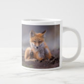 赤いキツネ、Vulpes vulpes、子狐が体を掻く、 ジャンボコーヒーマグカップ (右)