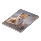 赤いキツネ, Vulpes vulpes, 子狐が体を掻く ノートパッド (回転)