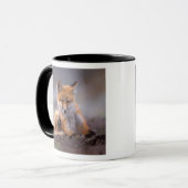 赤いキツネ, Vulpes vulpes, 子狐が体を掻く マグカップ (正面左)