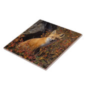 赤いキツネ、Vulpes vulpes、秋の色に染まる タイル (側面)