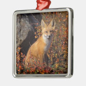 赤いキツネ、Vulpes vulpes、秋の色合いの中で メタルオーナメント (左)