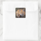 赤いキツネ、Vulpes vulpes、秋の色彩 スクエアシール (バッグ)