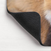 赤いキツネ、Vulpes vulpes、秋の色彩 マウスパッド (コーナー)