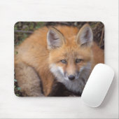 赤いキツネ、Vulpes vulpes、秋の色彩 マウスパッド (マウス)