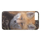 赤いキツネ、Vulpes vulpes、秋の色彩 Case-Mate iPhoneケース (裏面(横))