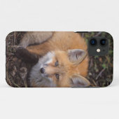 赤いキツネ、Vulpes vulpes、秋の色彩 Case-Mate iPhoneケース (裏面(横))