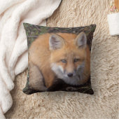 赤いキツネ、Vulpes vulpes、秋の色 クッション (ブランケット)