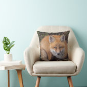赤いキツネ、Vulpes vulpes、秋の色 クッション (椅子)