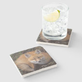 赤いキツネ、Vulpes vulpes、秋の色 ストーンコースター (横)