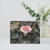 赤いキノコのポストカード ポストカード (スタンド正面)