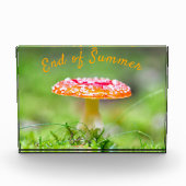 赤いキノコの秋夏の終わり フォトブロック (正面)