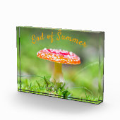 赤いキノコの秋夏の終わり フォトブロック (右)