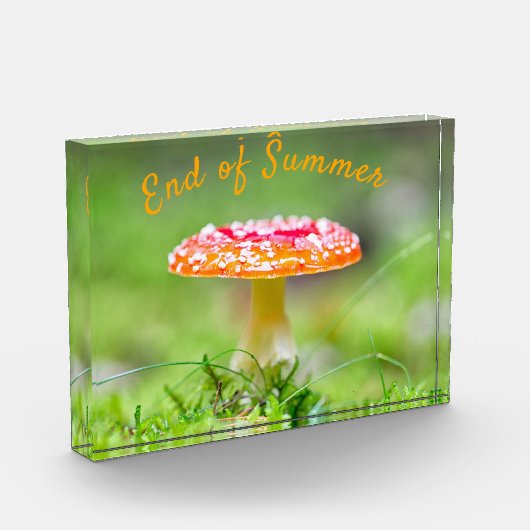 赤いキノコの秋夏の終わり フォトブロック (左)