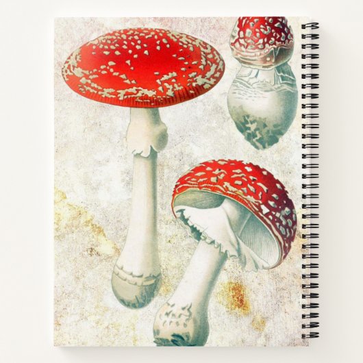 赤いキノコの色あせた背動揺して景 ノートブック (裏面)