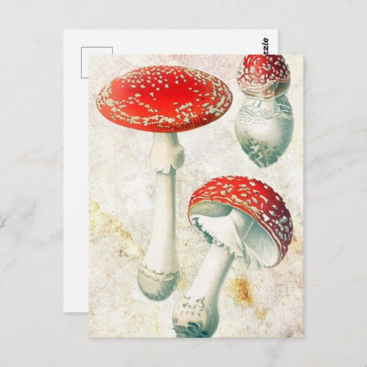 赤いキノコの色あせた背動揺して景 ポストカード (正面/裏面)