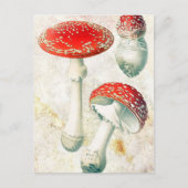 赤いキノコの色あせた背動揺して景 ポストカード (正面)