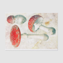 赤いキノコの色あせた背動揺して景