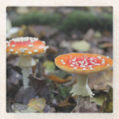 赤いキノコ ガラスコースター (正面)