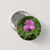 赤いキャンピオンワイルドフラワーボタン 缶バッジ (正面&裏面)