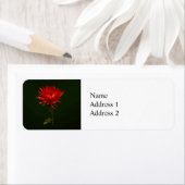 赤いクモの子 ラベル (インサイチュ)