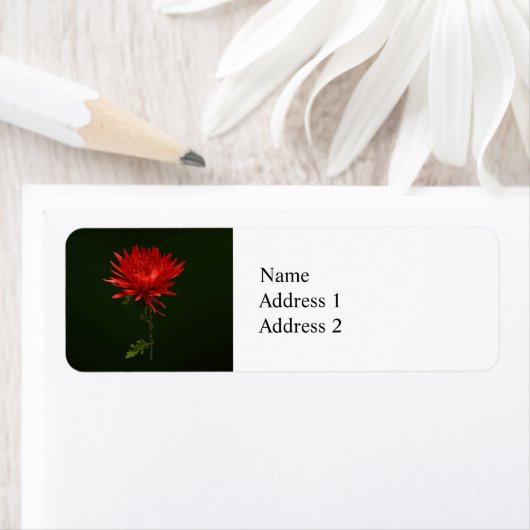 赤いクモの子 ラベル (インサイチュ)