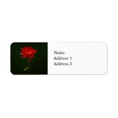 赤いクモの子 ラベル (正面)