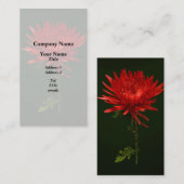 赤いクモの子 名刺 (正面/裏面)