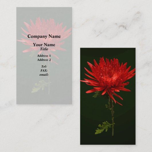 赤いクモの子 名刺 (正面/裏面)