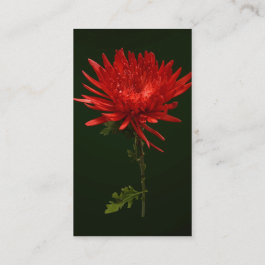 赤いクモの子 名刺 (裏面)