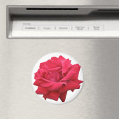 赤いクラシックバラ マグネット (インサイチュ (食洗機))