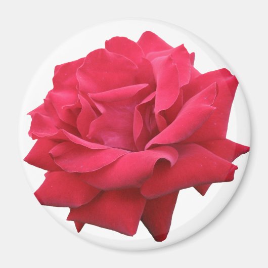 赤いクラシックバラ マグネット (正面)