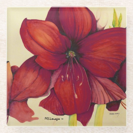 赤いクリスマスのアマリリスガラスのコースター ガラスコースター (正面)