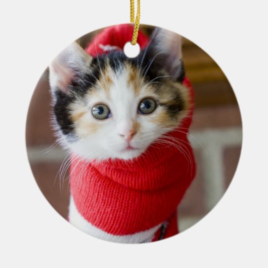 赤いクリスマスの子ネコ メタルオーナメント (正面)